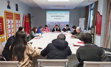龙泉驿区第三小学校第二支部召开2022年度组织生活会